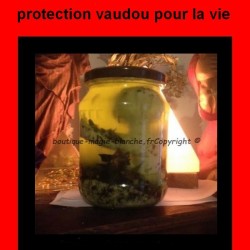 PROTECTION VAUDOU POUR LA VIE