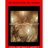 TRAVAIL DE NEUTRALISATION DE VOTRE ENNEMI